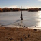 Reynolds Pond Snag in Winter