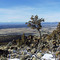 View from Powell Butte (toward North)