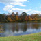 White Church Pond in fall