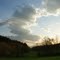 Field