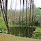 Little peaceful forest lake-Saylorsburg, USA