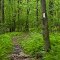 Appalachian Trail south from Wind Gap PA