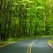 Mountain Road