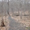 Nature Park trail
