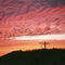 Murrysville Sunrise 1982, Twin Oaks Lane looking to Murry Woods