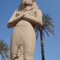 Luxor Temple