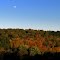 Murry Woods, Murrysville, javadoug