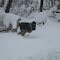 Snow up to the mailbox