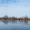 Wintry Fort Boise wetlands