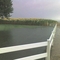 Rain in Parma