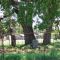 Conrads Cemetery