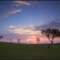 Texas Sunset