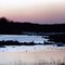 Duck decoys, Pedernales River upstream from Johnson City