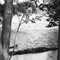 Pond at Live Oak Park