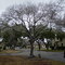 Ice Storm, RAFB, Texas