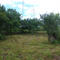 Middle of lot to front of lot view