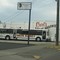Taco Bus