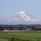 Mt. Rainier from the South