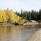 Fall Colors on the Salcha River