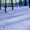 CASPER MOUNTAIN WINTER