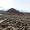 Alaska - Denali National Park