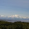McKinley View