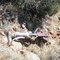 F-84 Crash Site (nose gear)