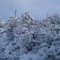 January '09 Snow (3)