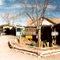 Youngs Farm Store