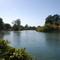 North side of Lodi Lake, the local park