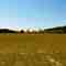 CAV New Field Panoramic