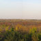 Fall colors from the tower