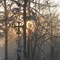 1-12-09 morn