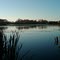 Sunrise over Robert H Long park