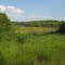 Aug 2008 - Pelican Rapids, Minnesota. Scenery around Beers Lake in Maplewood State Park.