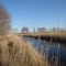 Bear Creek Reserve Canal Upstream
