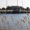 Mullica River at Lower Bank Bridge