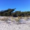 Smith Point Beach