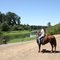 Horseback at Willamette Mission State Park - Stopped for a drink
