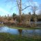 High Water Willamette Mission Park