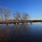 Peaceful reflection