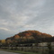 Fall in Middle TN on I-65