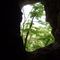 Cheek's Bend Cave