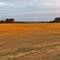 Top of Moon Hill - A Hay Field