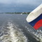 Летящие за теплоходом чайки (18.07.2008)