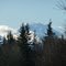Mt. Rainier guards a forest of fir, hemlock, cedar and maple