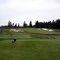 Washington National GC, Hole 8, Par 3, 204 yds