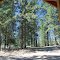 Outhouse View