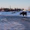 Northern Exposure