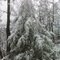 Arkansas Snow
